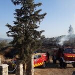 Detenido el presunto autor del incendio declarado este domingo en el Camino del Pradico (Lorca)