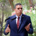 Pedro Sánchez, presidente del Gobierno