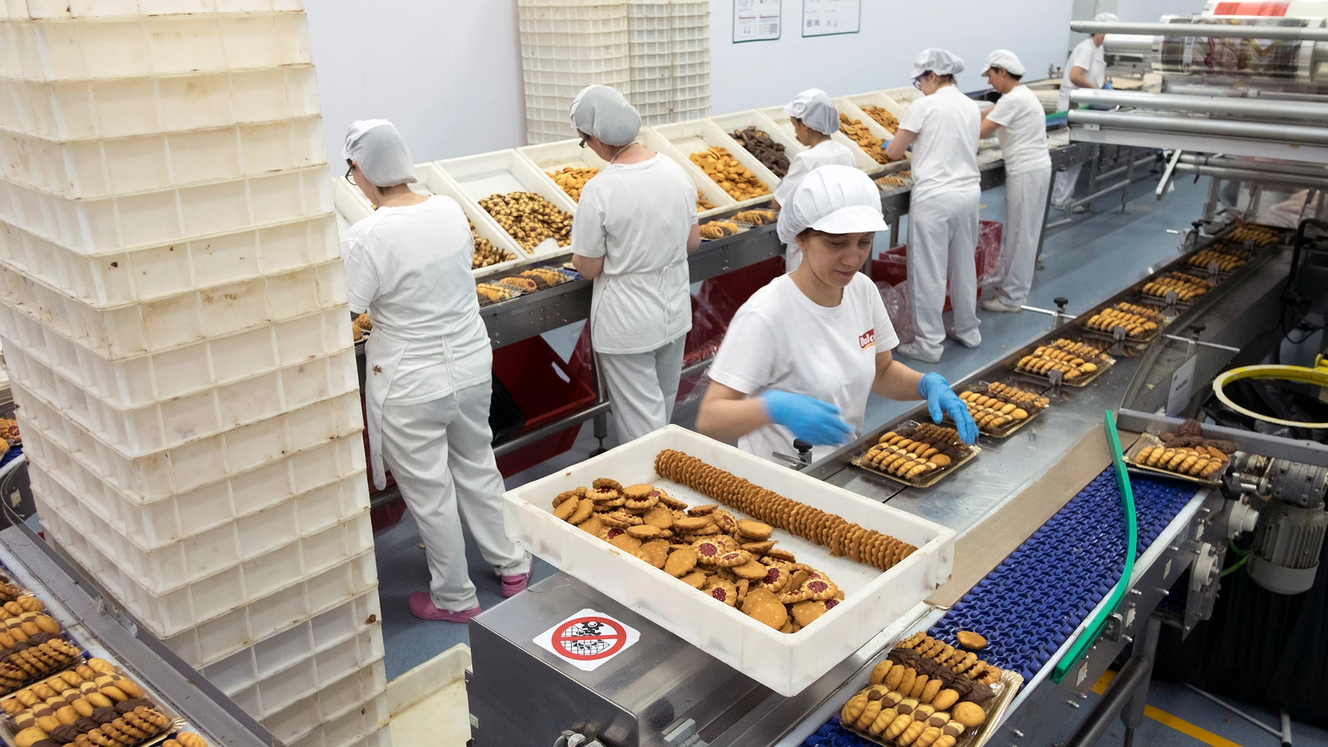 Las trabajadoras seleccionan los productos en la cadena de producción de la fábrica de dulces "Dulca"
