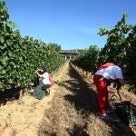Un temporero muere por golpe de calor