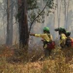 Bomberos trabajando en el incendio de Almonaster