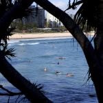 Los surfistas se sumergen en el agua esperando olas en la zona sur de Gold Coast