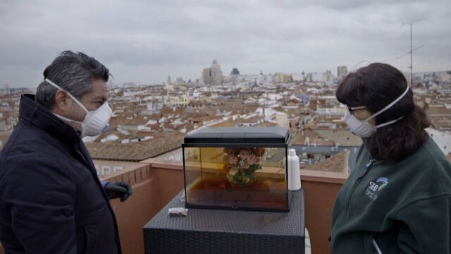 Jalis de la Serna realiza un experimento para el primer episodio de «Natural», que trata sobre cómo están desapareciendo los gorriones