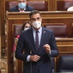 El presidente del Gobierno, Pedro Sánchez, durante la sesión de control al Gobierno en el Congreso
