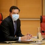 El portavoz del PP en las Cortes de Castilla y León, Raúl de la Hoz
