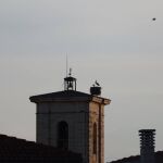 Campanario de la iglesia de San Juan Bautista de Pesquera de Duero