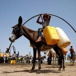 Niños yemeníes recorren millas en burros para recoger agua potable. En 2023, su acceso deberá ser un derecho de toda la población del planeta