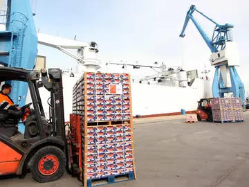 Las exportaciones de 2021, la esperanza de los empresarios murcianos Las exportaciones de 2021, la esperanza de los empresarios murcianos