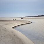 Federico Van Geldern, an Argentine citizen living in Balneario Solis, Maldonado, Uruguay, walks his dogs on the beach, Tuesday, Sept. 15, 2020. Since the new coronavirus pandemic started almost six months ago with its related lockdown, quarantine and economic hardship, thousands of Argentines like Van Geldern have decided to stay and live in Uruguay. (AP Photo/Matilde Campodonico)