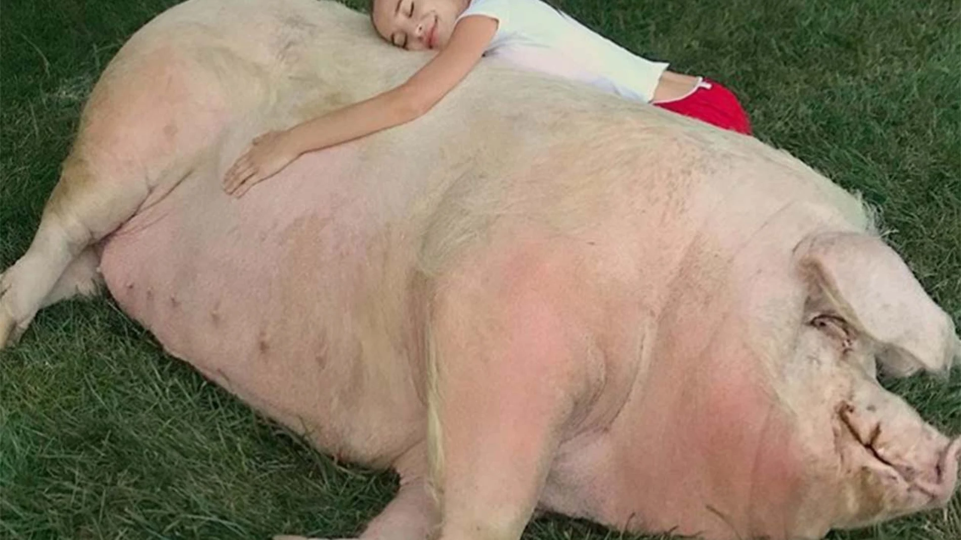 Sophia Phalen Bertolami y su mascota Stella.