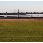 Tren AVE. RENFE