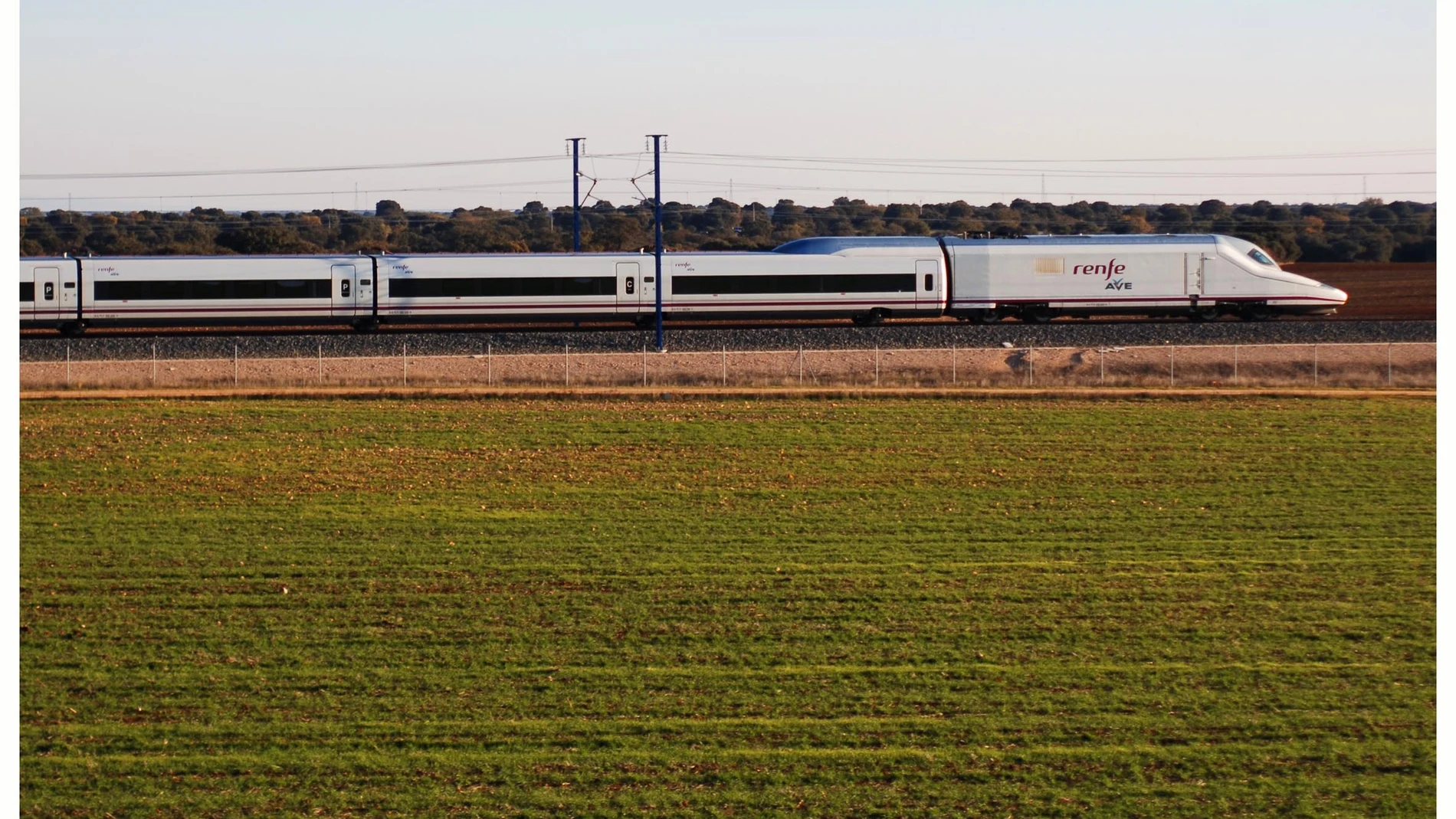Tren AVE. RENFE