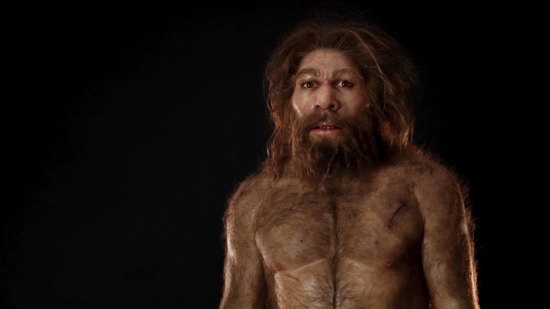 Neandertal. Reconstrucción de Elisabeth Daynes