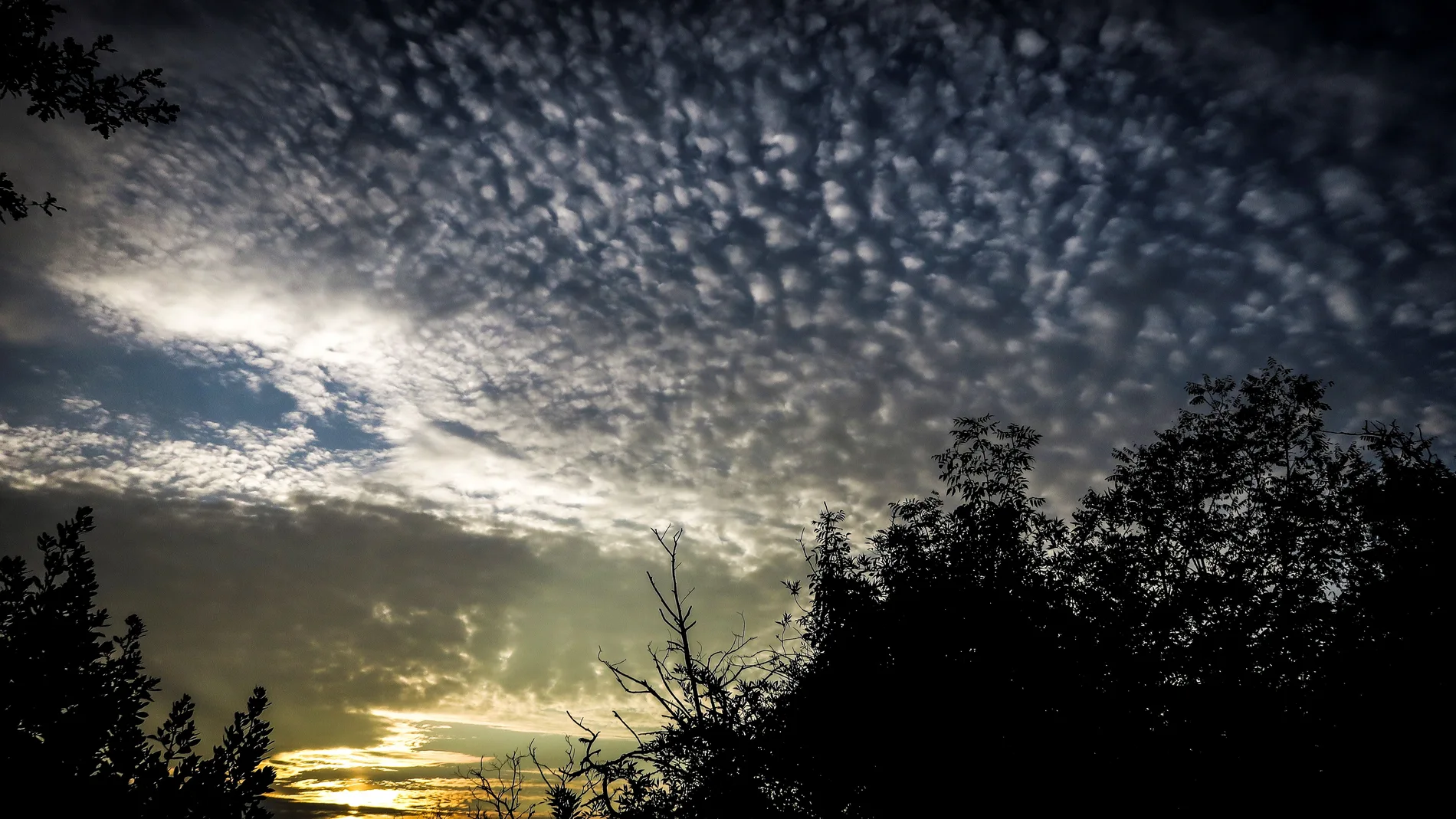 Hoy habrá cielos despejados o poco nubosos en la mayoría del país.