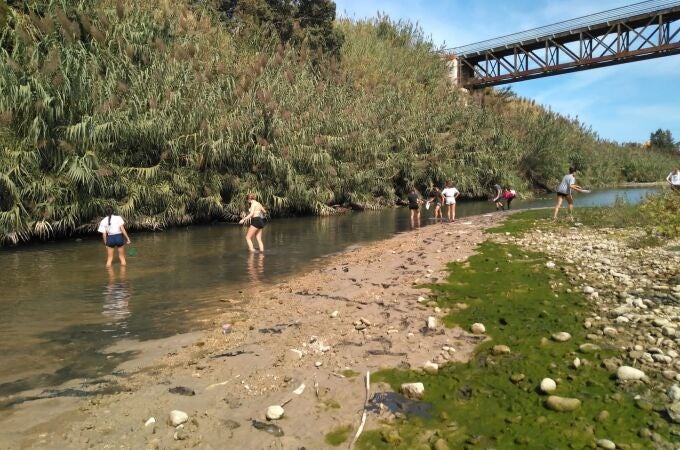 Imagen de archivo del río Serpis Imagen de archivo del río Serpis