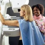 Algunos estudios sugieren que el ciclo menstrual puede influir en el riesgo de padecer cáncer de mama, dependiendo de la edad en la que se tiene el primer periodo y de la entrada en la menopausia.