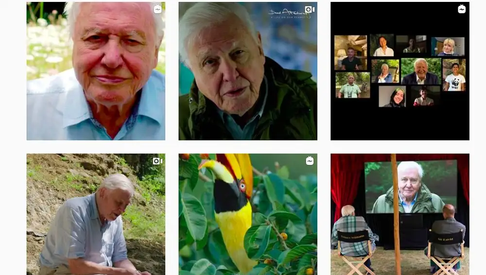 2. David Attenborough logró el mayor número de seguidores en menos tiempo: un millón en 4 horas y 44 minutos
