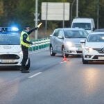 La Policía Local de León controla el acceso a la capital