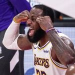 LeBron James, exultante en la celebración del título