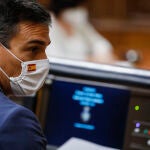 El presidente del Gobierno, Pedro Sánchez, durante una sesión de control al Gobierno en el Congreso de los Diputados