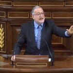 El diputado de Vox, Steegmann durante su intervención en el Congreso