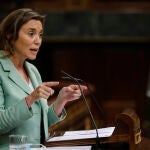 La portavoz del Partido Popular en el Congreso de los Diputados, Cuca Gamarra
