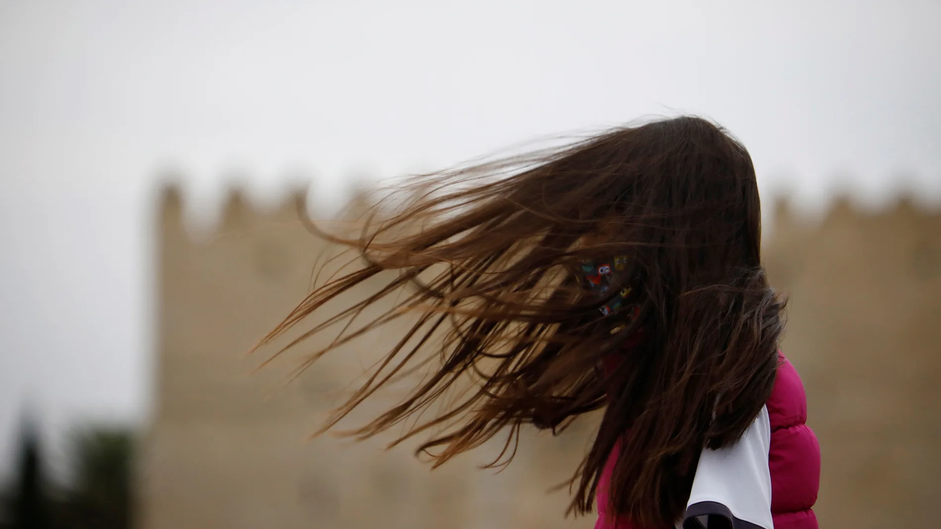 Se anuncian fuertes rachas de viento en Castilla y León