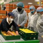 La contratación femenina cayó en 2020 por encima de la masculina