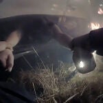El policía salió corriendo para sacar a la mujer del vehículo agarrándola de los brazos