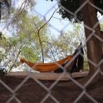 Fotografía de un campamento de migrantes el 23 de octubre de 2020, en la ciudad de Matamoros, en el estado de Tamaulipas (México). La esperanza de los migrantes varados ante una posible victoria demócrata se mezcla con la cautela de los empresarios del norte de México y una ciudadanía que espera que, sea cual sea el ganador de las presidenciales del 3 de noviembre en Estados Unidos, pronto se reabra totalmente la frontera.