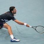 Djokovic, durante el partido con Coric en el ATP 500 de Viena