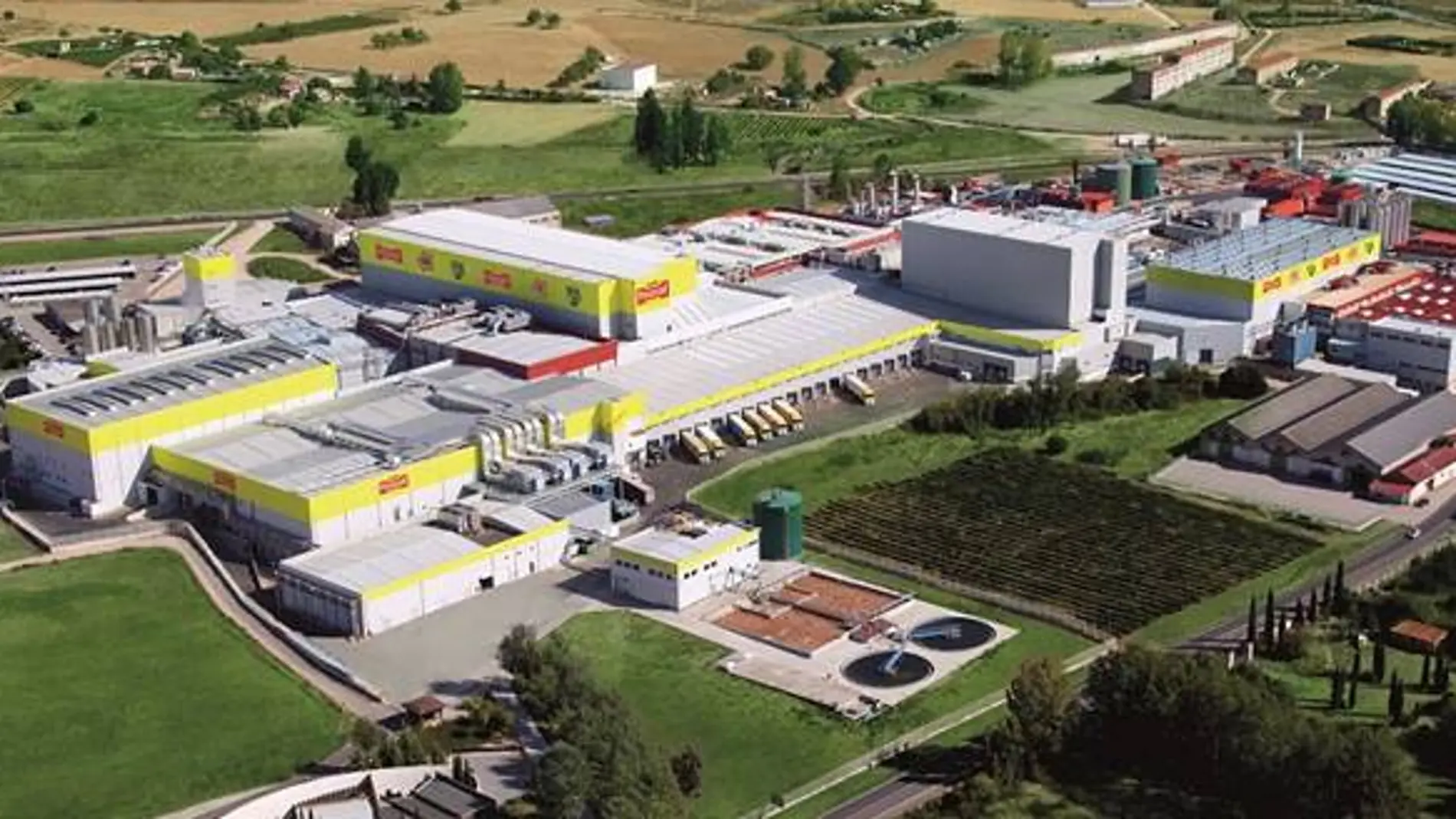 Planta de Pascual en Aranda de Duero (Burgos)