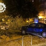 El vehículo se empotró contra un árbol, una estación de bicis y el coche patrulla que le perseguía