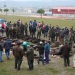 Alfombra de reses tras montería