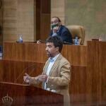 El diputado de Más Madrid Hugo Martínez Abarca