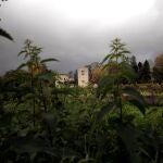 Fachada principal del Pazo de Meirás, en el municipio coruñés de Sada