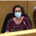 La senadora del PP por Valladolid, Mercedes Cantalapiedra, durante su intervención en la Cámara Alta
