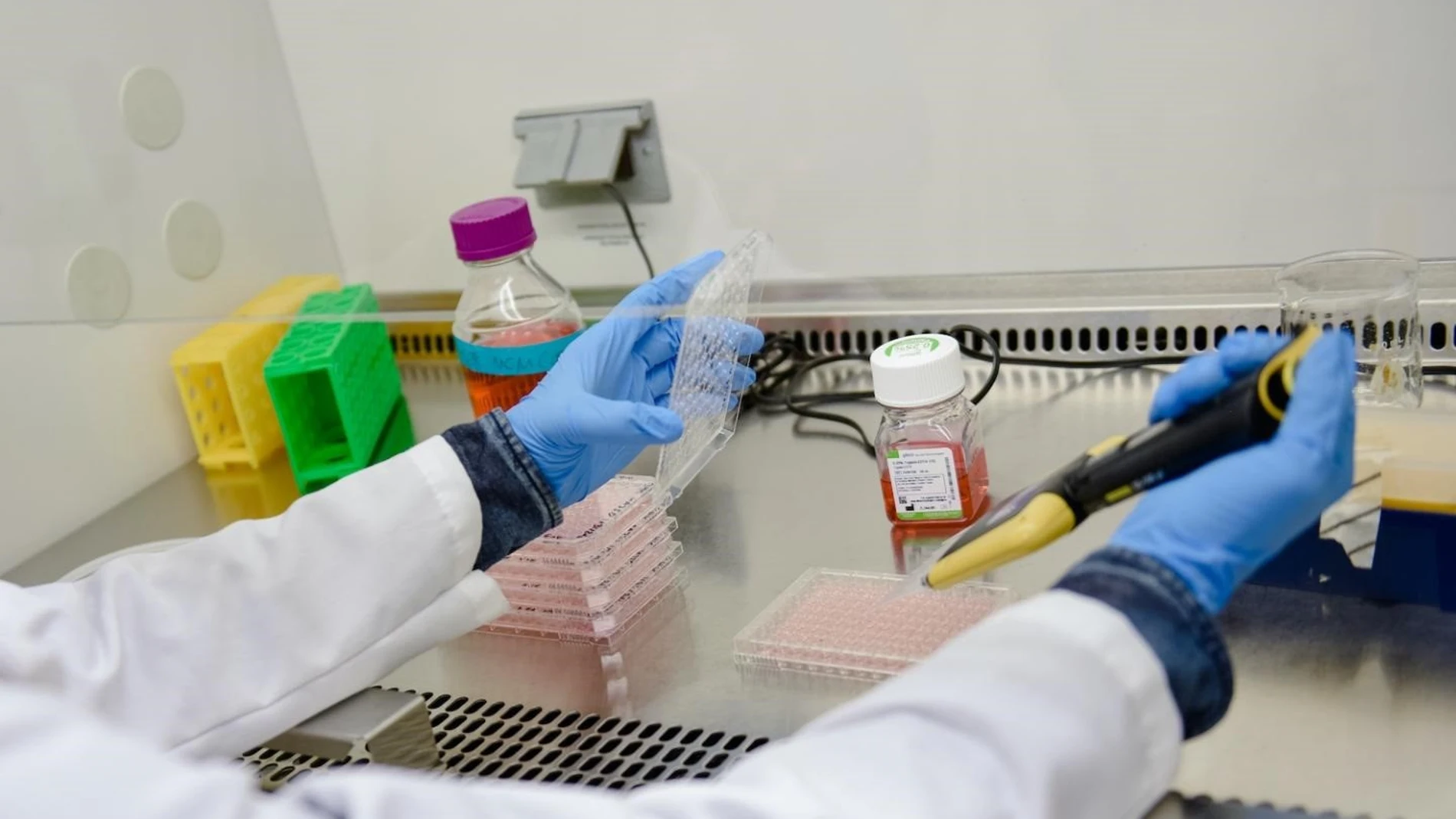 Cvirus.- Descubren una nueva forma de conservar los virus en las vacunas sin refrigeración