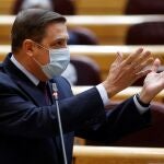 Madrid, 17/11/2020. El ministro de Agricultura, Pesca y Alimentación, Luis Planas, interviene durante el pleno del Senado, en Madrid. Efe