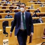 El presidente del Gobierno, Pedro Sánchez, durante su intervención en el pleno del Senado