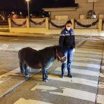 Poni encontrado por la Policía Municipal de Ponferrada