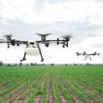 Imagen de archivo de unos drones, en este casio utilizados con fines no delictivos