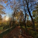 El parque del Retiro, en Madrid
