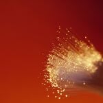 Todos los bienes que compra la compañía, incluida la fibra, pasan por exhaustivos controles medioambientales