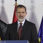 MADRID, 23/11/2020.- Fotografía de archivo fechada el 19 de noviembre de 2020, que muestra al rey Felipe mientras ofrece un discurso durante la gala por la XXVI edición del premio Pelayo para juristas de reconocido prestigio, en el palacio de Cibeles en Madrid. Felipe VI permanecerá en cuarentena durante diez días después de tener conocimiento de que una persona con la que estuvo en contacto ayer, domingo, ha dado hoy positivo por la covid-19, han informado fuentes de la casa real. EFE/Archivo/JuanJo Martín