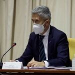 El ministro de Interior, Fernando Grande-Marlaska