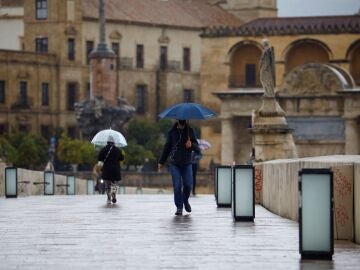 CÓRDOBA.-Unas personas se protegen con paraguas de la lluvia mientras caminan por el Puente Romano de Córdoba. EFE/Salas