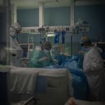 La septicemia es una infección producida por microorganismos patógenos en la sangre