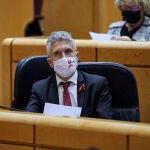 El ministro del Interior, Fernando Grande-Marlaska