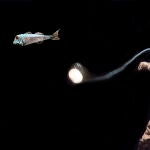20.000 leguas de viaje submarino. De la Comedie- Francaise